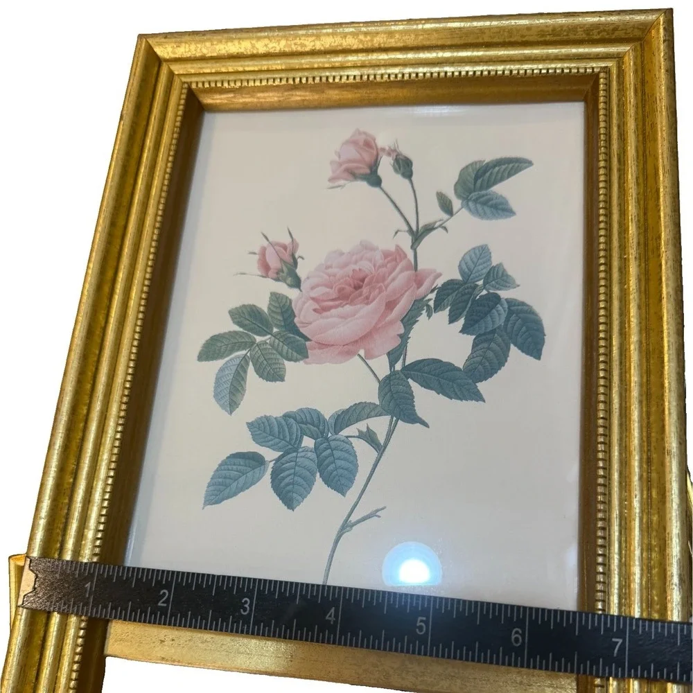 Vintage Pink Rose Print Pier Mirror Gold Gilt Frame Floral Wall Hanging 23.5
